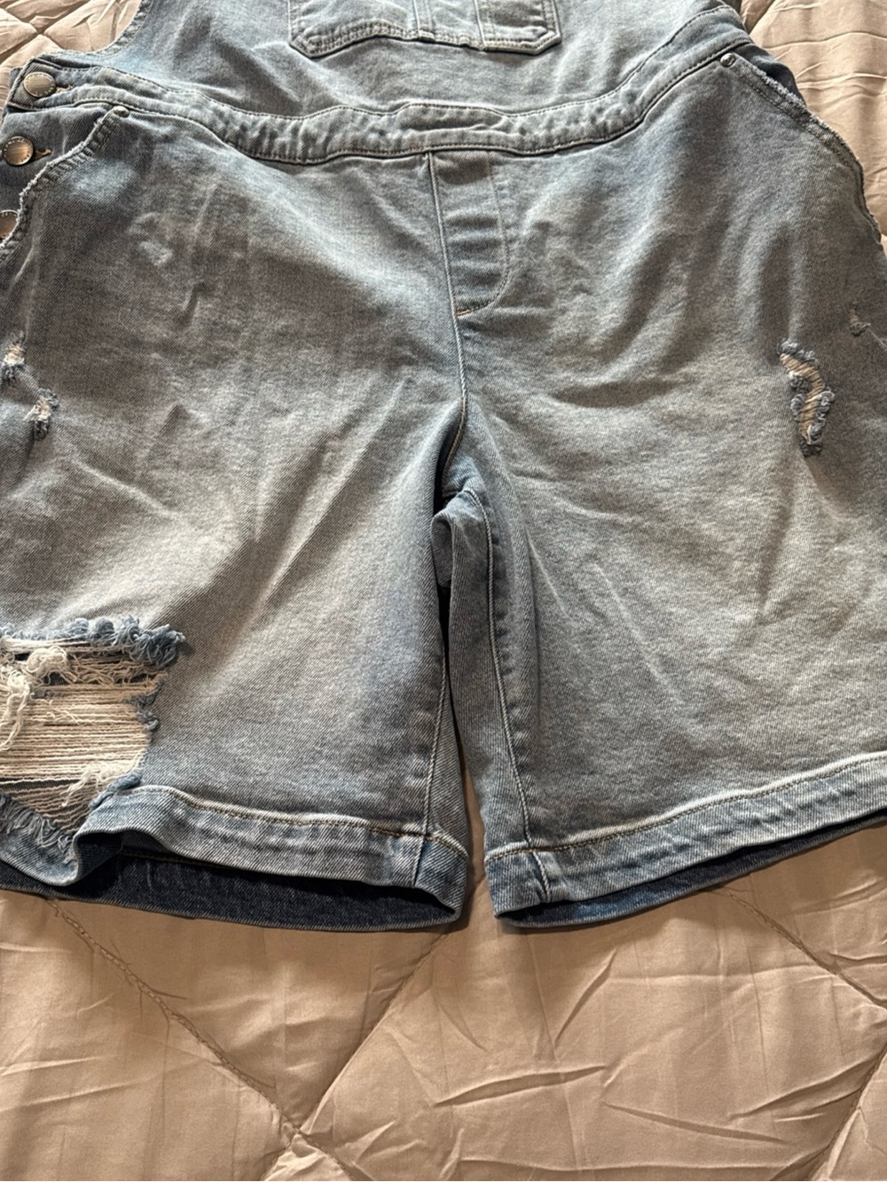 Lane Bryant Light Blue Denim Overalls - Picture 6 of 7